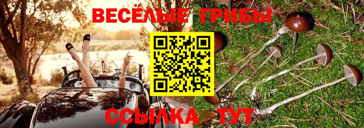 Псилоцибиновые грибы GOLDEN TEACHER  Галлюциногенные грибы мицелий  наркотики  Рубцовск  Вход с VPN 